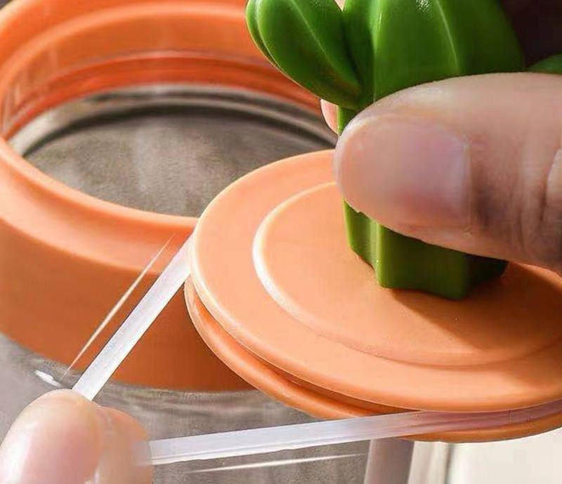 Cactus-Shaped Seasoning Jar & Salt Shaker Set