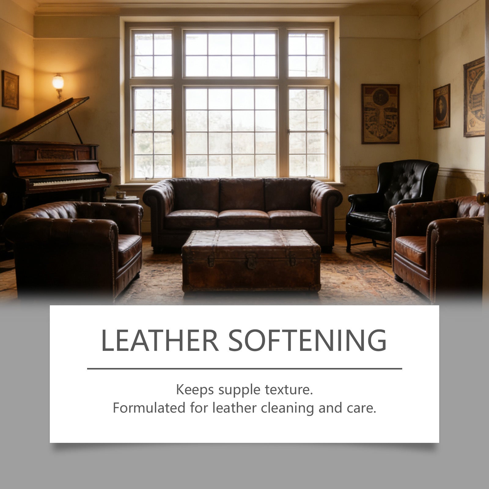 Leather Care Product
